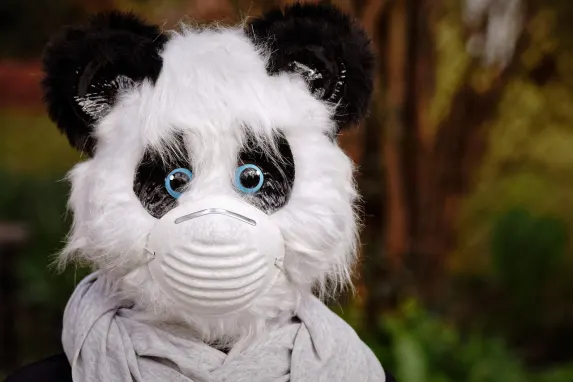 توب بيت كازينو الدعم